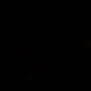 Meet your Posher, Jared